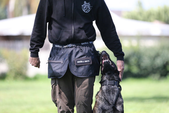 Dogs With Jobs General Purpose Police Dogs  Julius K9 UK Blog